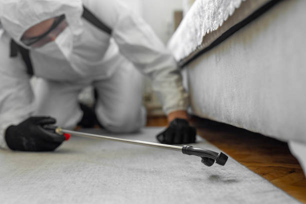 Professional Ant Control technician working in Sturgeon Bay, WI